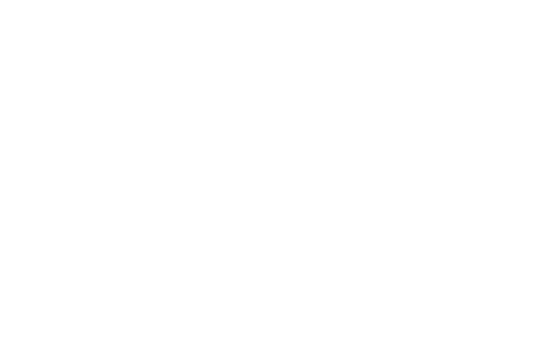 Logo Luigi Bormioli - Italy