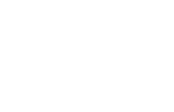 Logo aceto Ponti - dal 1867